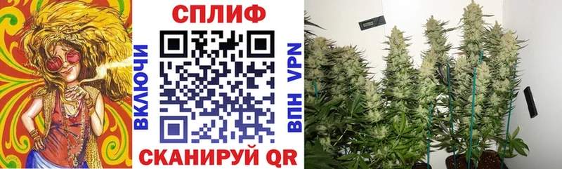 Где купить Буйнакск COCAIN  Гашиш  Марихуана 