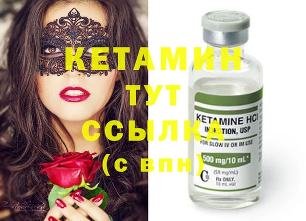шишки Богородицк