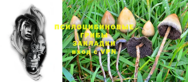 шишки Богородицк
