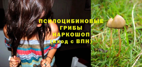 трава Богданович