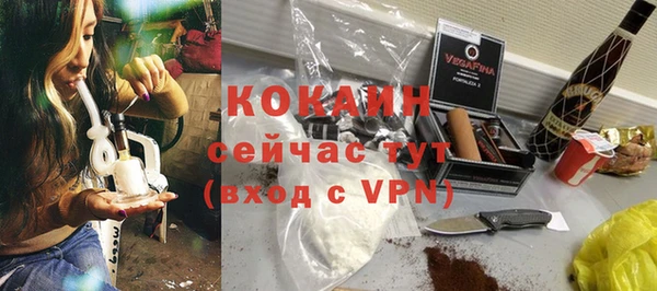 шишки Богородицк