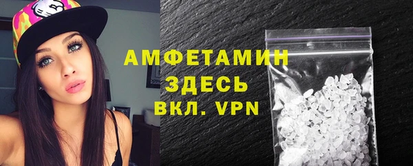 шишки Богородицк
