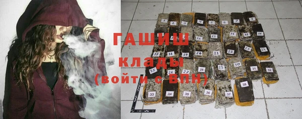 шишки Богородицк