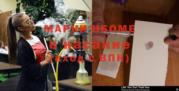 шишки Богородицк