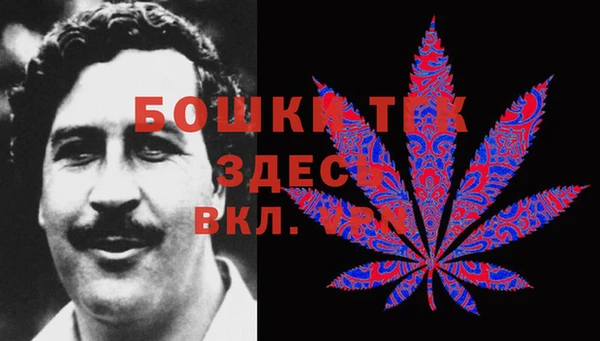 шишки Богородицк
