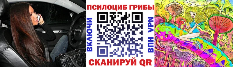 KRAKEN ONION  Буйнакск  Галлюциногенные грибы мицелий 
